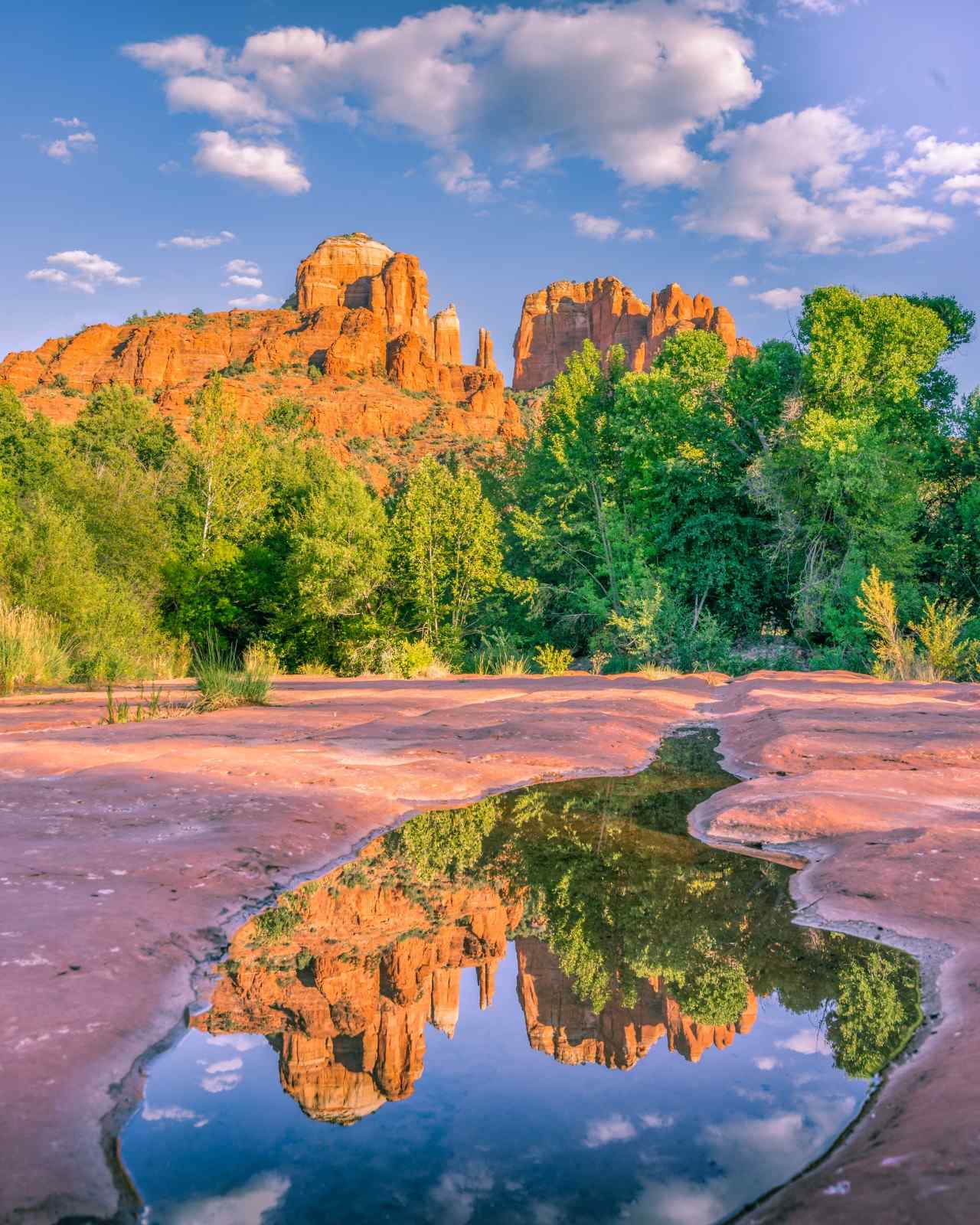 Cathedral Rock reflected in a water puddle, Sedona USA